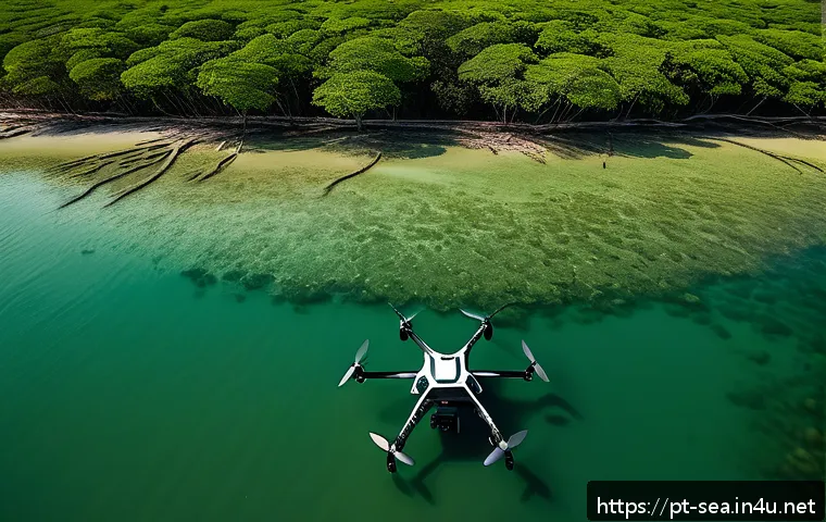 해양공학 해양 생태 복원 관련 이미지 1